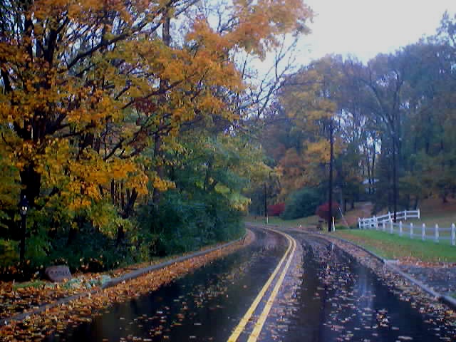 Autumn Lane 2003